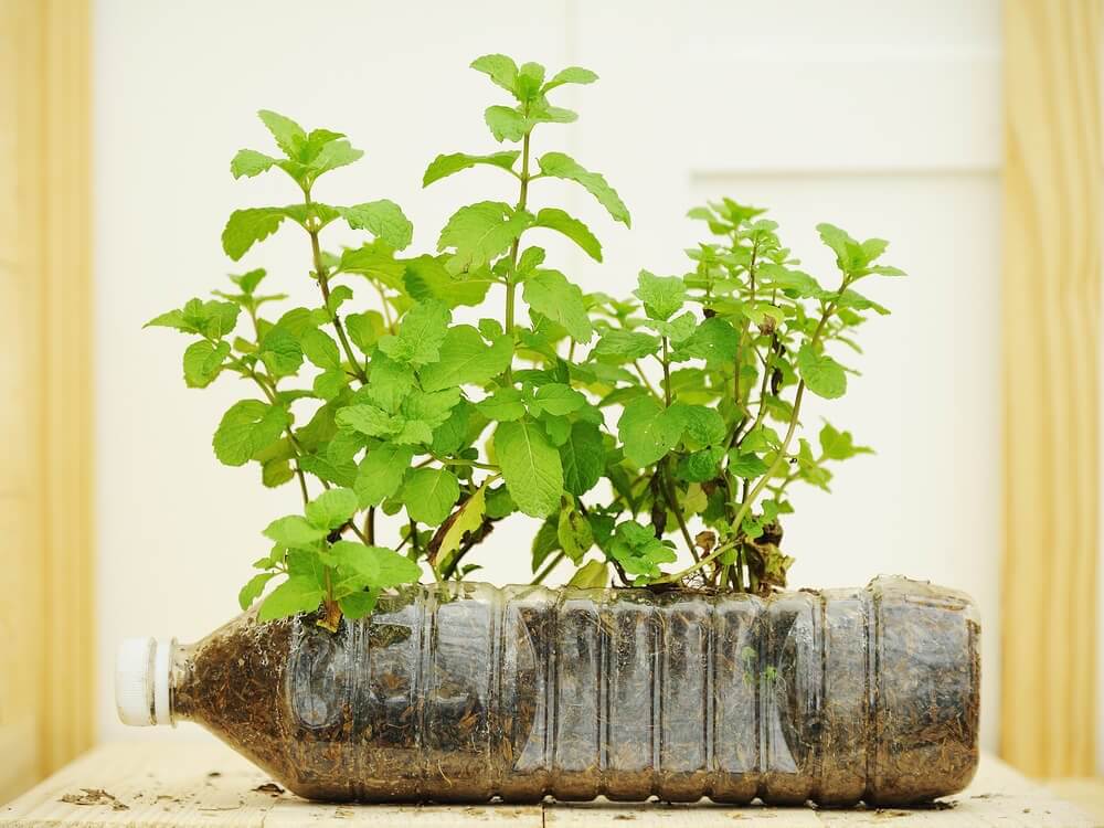 les pots réalisés à partir de bouteilles