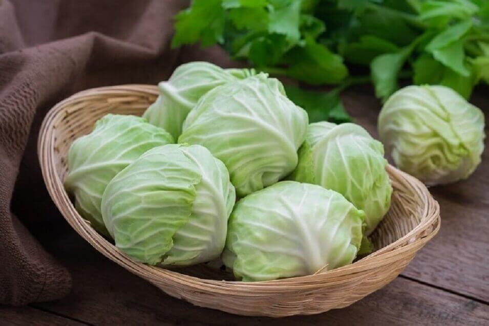 le chou contre l acidité gastrique