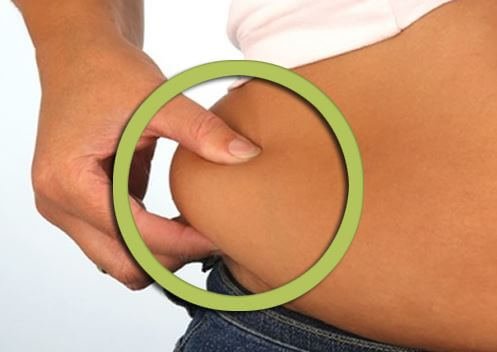 graisse abdominale