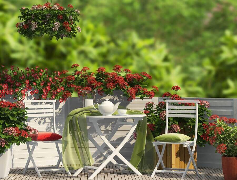 facteurs climatiques pour le jardin sur la terrasse