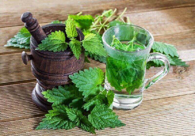 infusion d'ortie