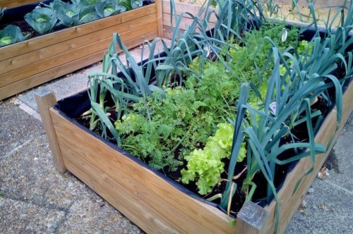 Jardin potager modulaire.