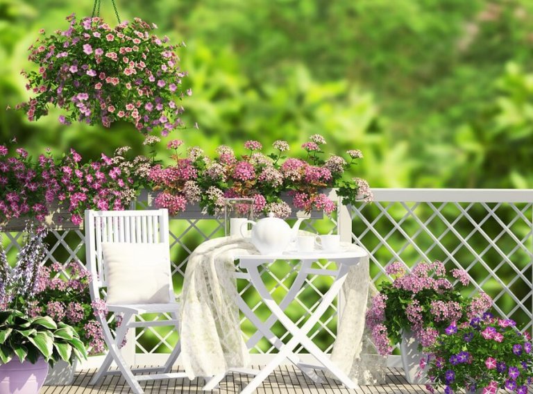 Un jardin sur la terrasse : de bonnes idées simples pour le réaliser