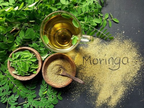la moringa contre le vieillissement