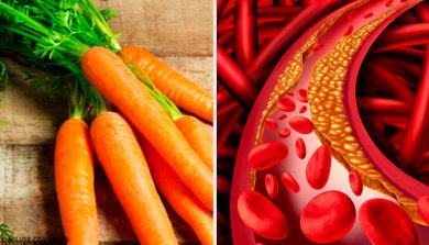 Procédés naturels et simples pour contrôler le cholestérol