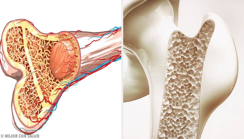 exercices pour travailler la masse musculaire