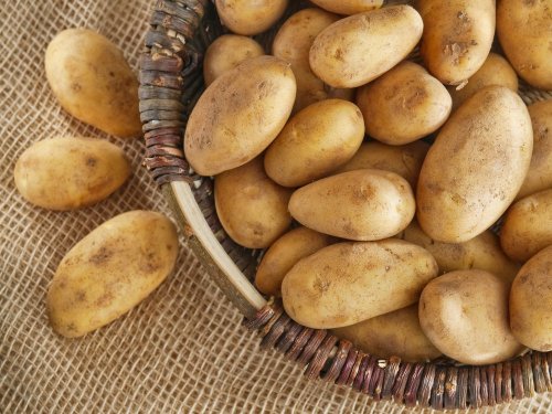 recette de cuisine avec des pommes de terre