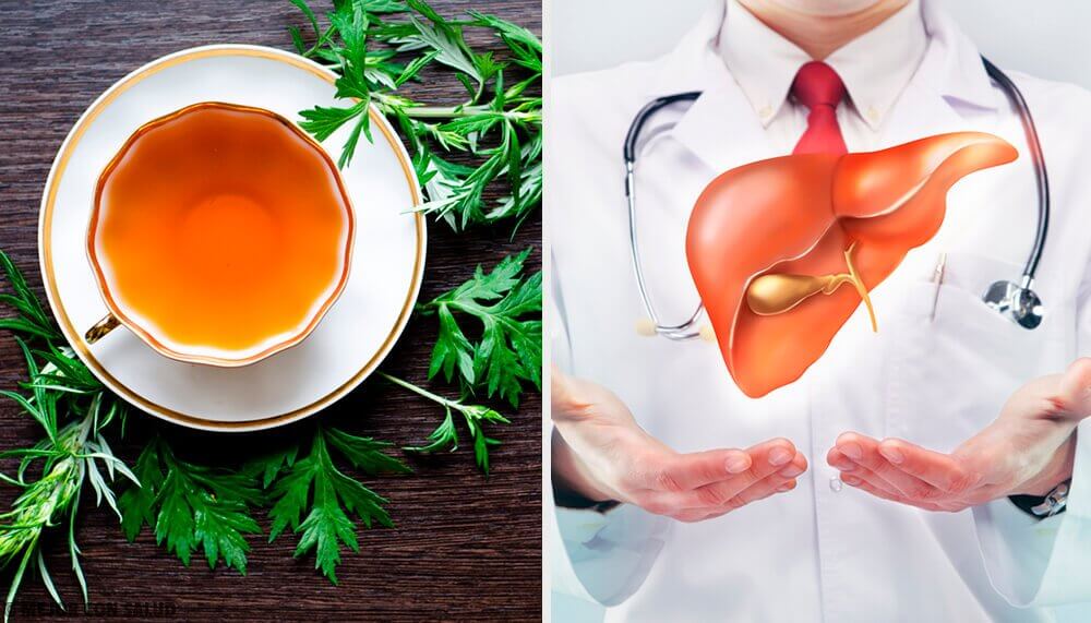 l'absinthe parmi les plantes médicinales contre le cancer
