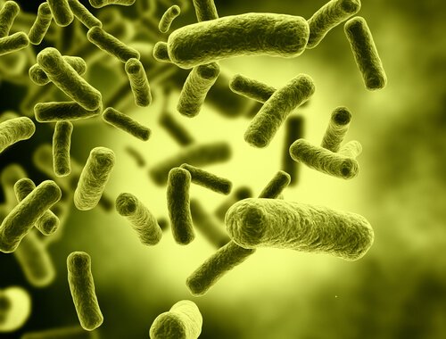 les toxines et la polyarthrite rhumatoïde