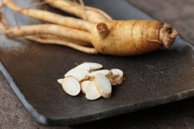 Découvrez le ginseng et ses vertus