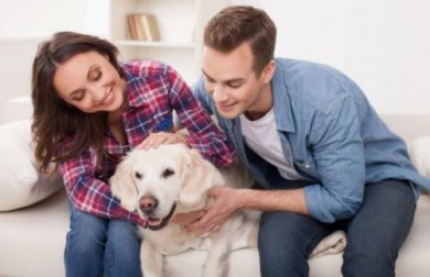 Bienfaits des animaux domestiques à la maison