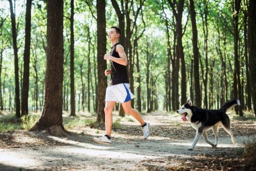 bienfaits des animaux domestiques : ils nous permettent de garder la forme