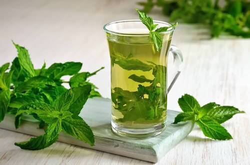 Découvrez les multiples propriétés du thé à la menthe pour la santé