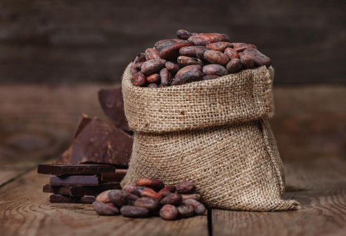 cacao pour hydrater la peau sèche