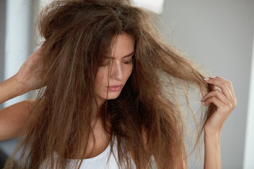 Hydratez vos cheveux secs avec ces 5 remèdes naturels Hydratez vos cheveux secs avec ces 5 remèdes naturels
