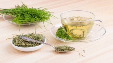 Tout savoir sur les grandes propriétés de la prêle des champs