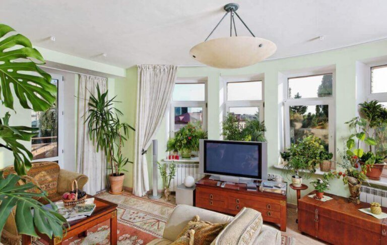 Apprenez à décorer vos espaces avec des plantes