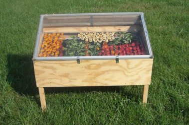 Comment fabriquer votre propre déshydrateur solaire