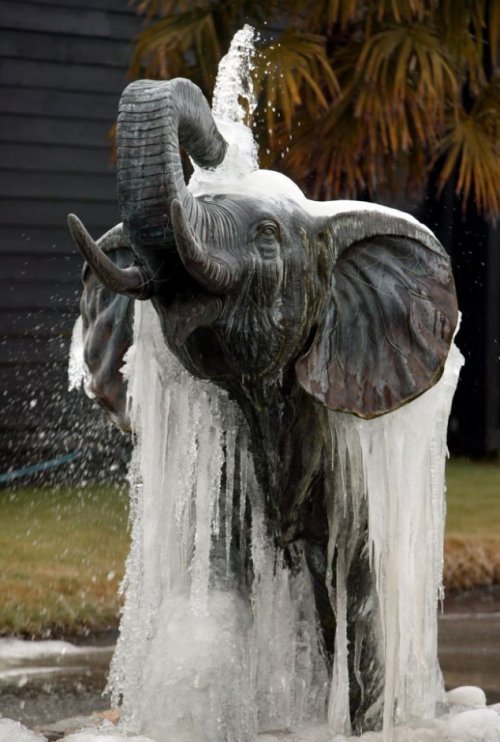 Fontaine en forme d'animaux pour décorer votre jardin.