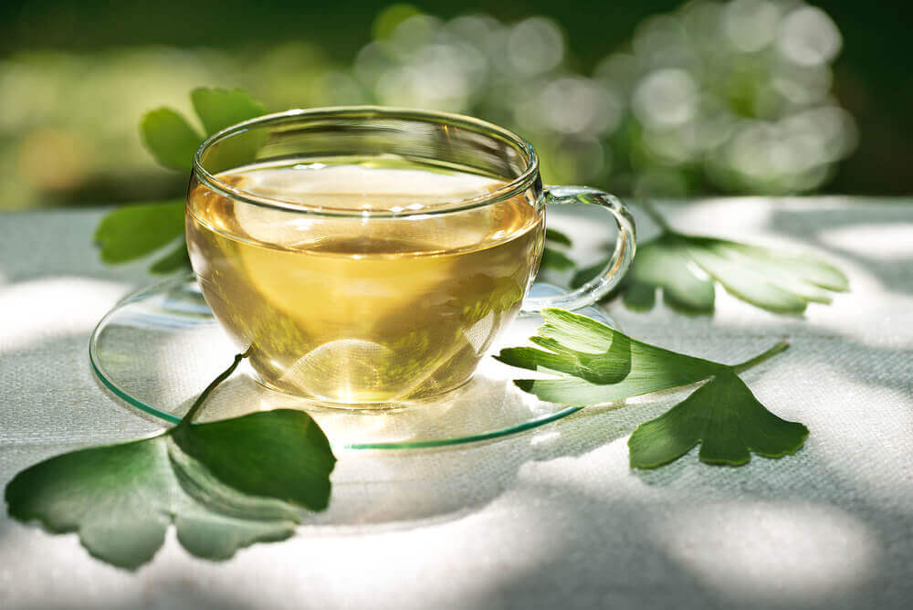 Les effets antioxydants du ginkgo biloba.