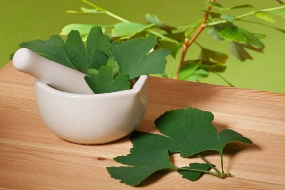 Le ginkgo biloba pour traiter les jambes lourdes.