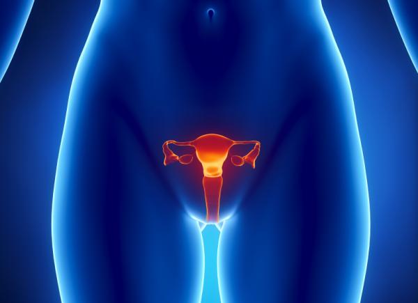 comprendre les cycles menstruels pour tomber enceinte à 45 ans
