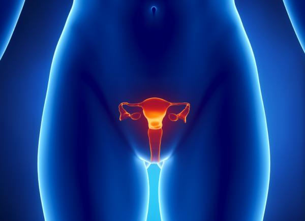 comprendre les cycles menstruels pour tomber enceinte à 45 ans