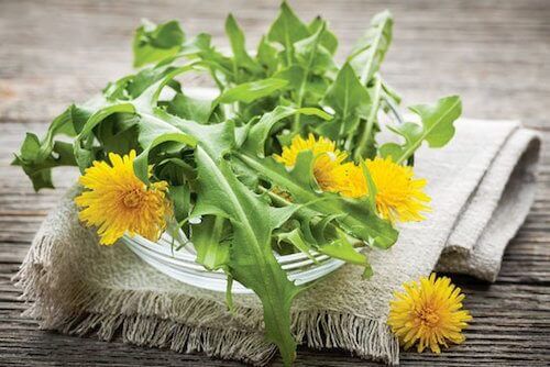 le pissenlit aide à la digestion