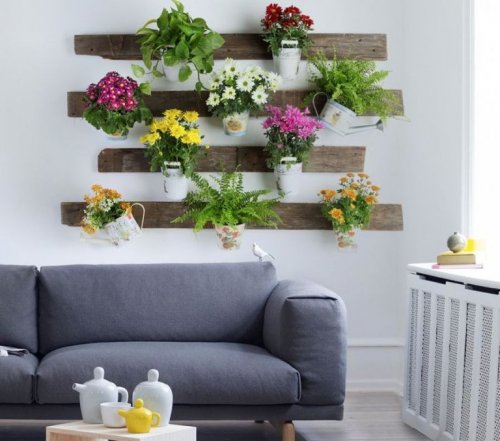 Décores vos espaces avec des plantes suspendues au mur