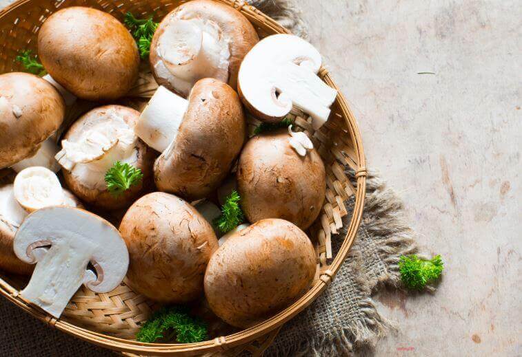 poulet champignons