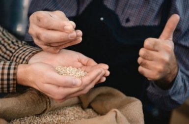 Recettes pour la préparation du lait d'orge