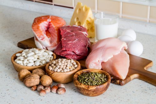 Aliments des régimes protéinés.