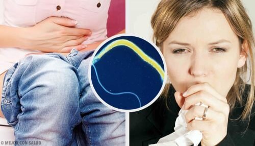 Eliminer les parasites intestinaux grâce aux remèdes à l'avocat.