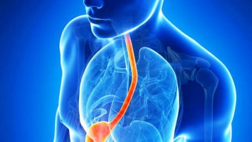 Les remèdes naturels les plus efficaces pour traiter le reflux