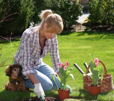 planter un arbre