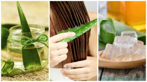 champús naturales caseros hechos de aloe vera
