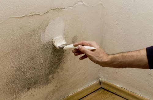 5 astuces contre l’humidité à la maison