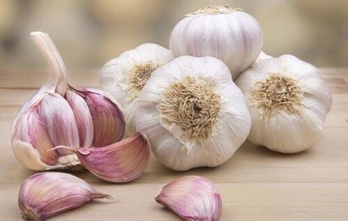 perdre des kilos grâce aux propriétés amincissantes de l'ail