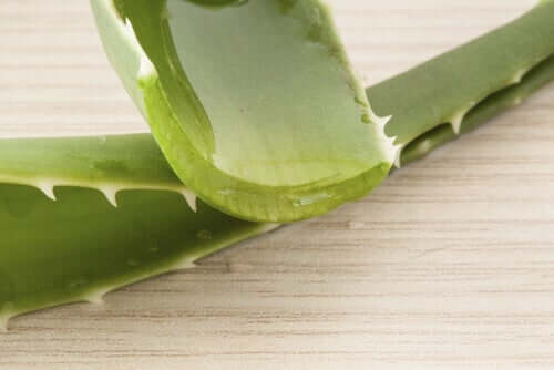 gel d'aloe vera