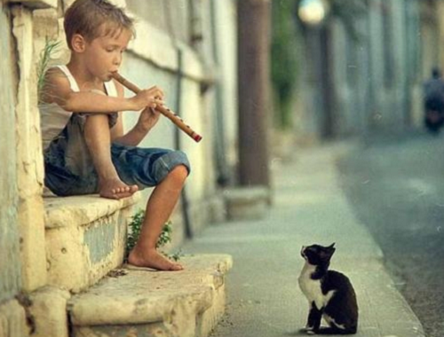 bienfaits de la musique
