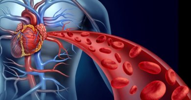 4 remèdes naturels pour stimuler la circulation sanguine