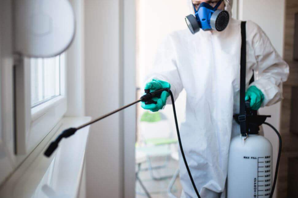 éliminer les termites