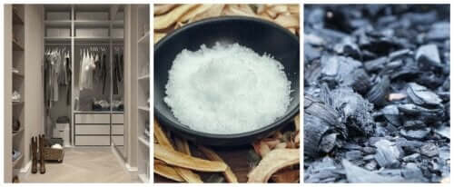 Eliminer les mauvaises odeurs dans des espaces clos avec 2 ingrédients