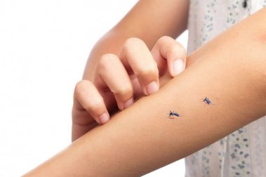 Comment utiliser la vitamine B1 comme anti-moustique