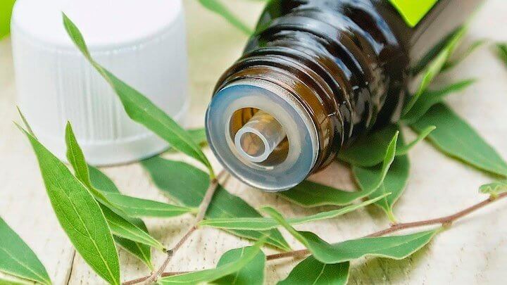 traiter les mycoses avec l'huile essentielle d'arbre à thé