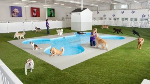 Piscine en forme d'os