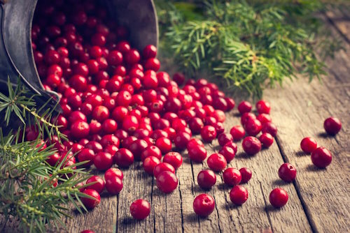 remèdes à base de canneberges pour soigner vos plaies