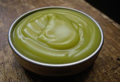 Comment réaliser une pommade à l'ail et au citron pour lutter contre les varices