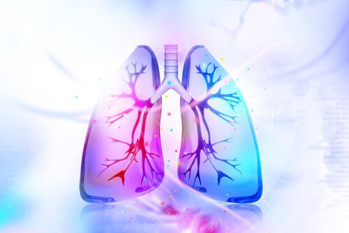 3 remèdes naturels pour désintoxiquer les poumons