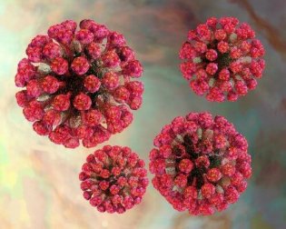 6 remèdes pour soigner naturellement la rubéole